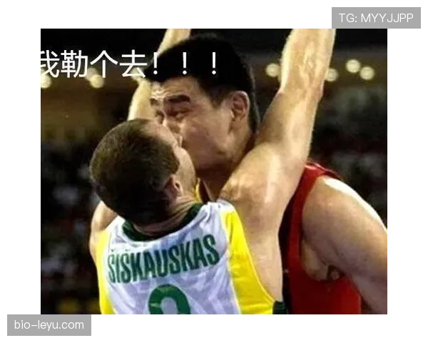 深度解析防守三秒 NBA 规则的限制区域站立与判罚细节