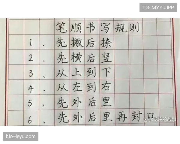 规则解析：篮球比赛中延误比赛违例的定义与具体判罚