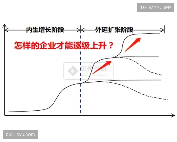 阿尔瓦雷斯的成长上限为何不及预期：潜力兑现瓶颈与轨迹偏差解析