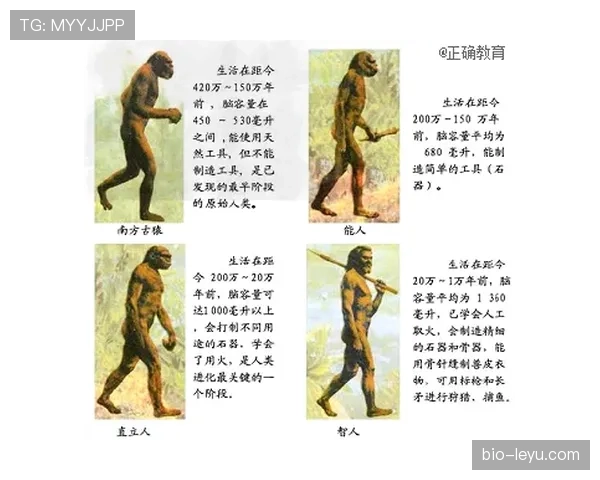厄德高如何从神童蜕变为顶级中场：技术进化与历史定位解析