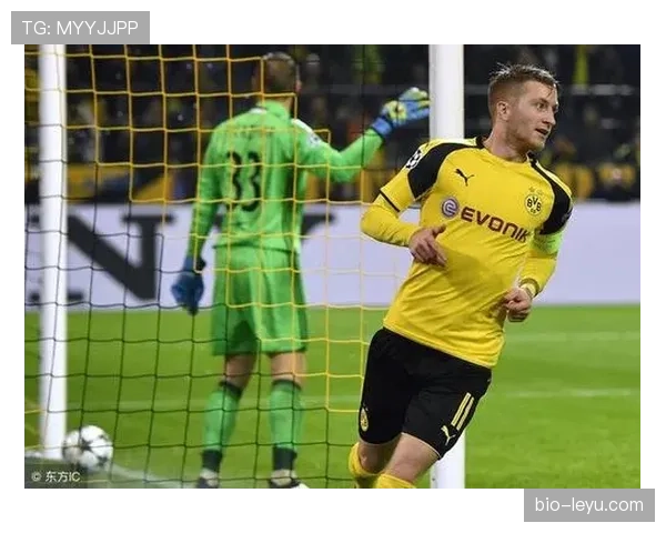 德国队2026世界杯阵容预测：核心球员伤愈回归能否助球队重振雄风