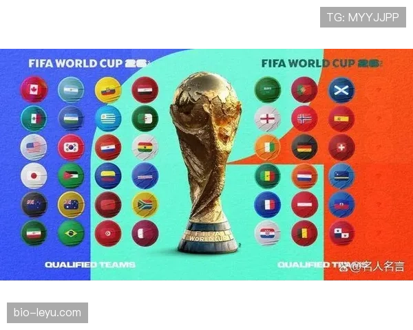 2026世界杯完整版晋级席位解析